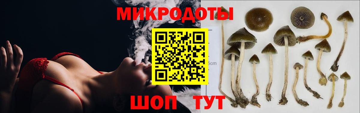 Псилоцибиновые грибы прущие грибы Канск